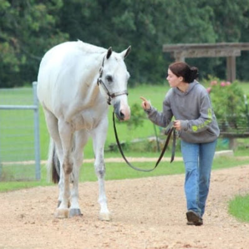 Meet your Posher, Erica